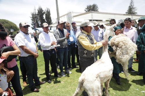 Se resaltó el crecimiento de la industria alpaca en un 48%.