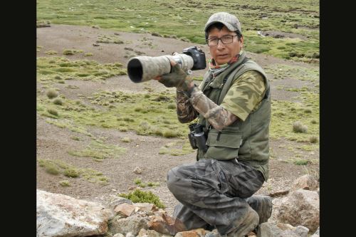 A Pedro Allasi Condo le tomó 10 años fotografiar las 132 aves que difunde en su libro 'Aves del Colca'.