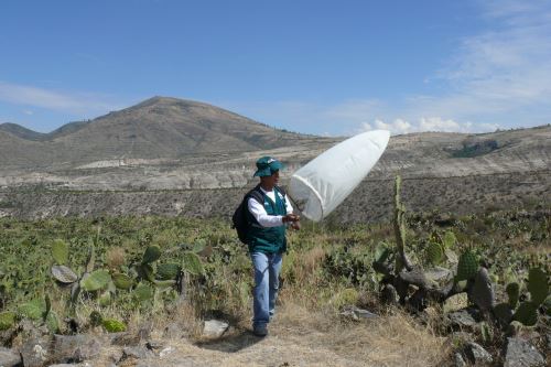 Especialistas del Senasa realizaron visita de campo en el distrito de Quinua, en Ayacucho.