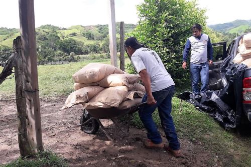 Con los fertilizantes orgánicos y otros insumos buscan mejorar productividad del cacao en San Martín.