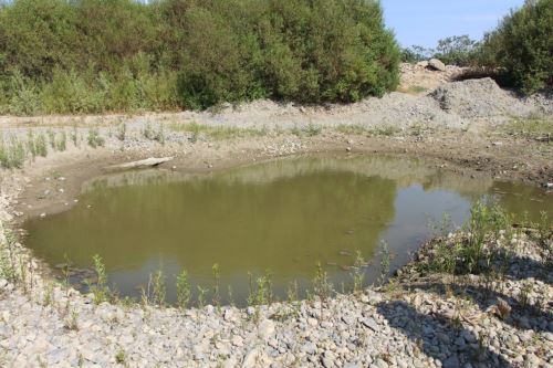 El viceministro de Desarrollo e Infraestructura Agraria y Riego, Pablo Araníbar, recorrió los puntos críticos del río Huarmey.