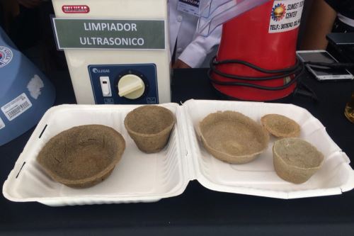Estudiantes de la UNSA desarrollan envases biodegradables, que podrían reemplazar los descartables de tecnopor.