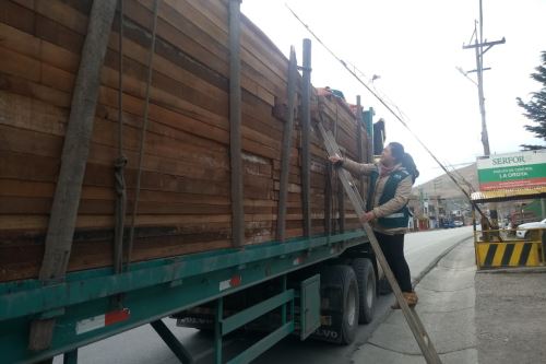 Serfor capacita a gobiernos regionales y usuarios amazónicas en el uso de aplicativos de guías de transporte forestal.