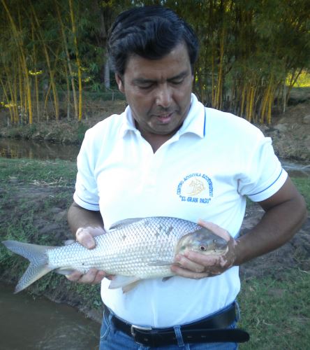 La acuicultura es una actividad de gran demanda en las regiones amazónicas.