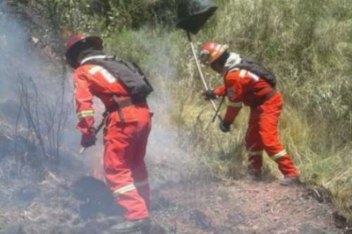 En el 2016 se reportaron 281 emergencias por incendios forestales y Apurímac fue el departamento con más eventos registrados.