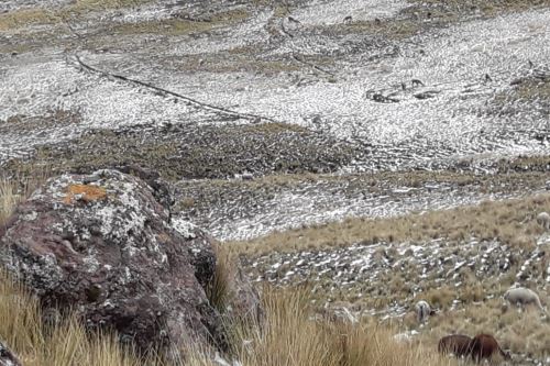 Granizada afectó a zonas altas de Puno y de otras regiones del sur del país.
