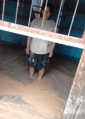 Familias perdieron sus pertenencias que fueron arrasadas por la crecida del río Huallaga.