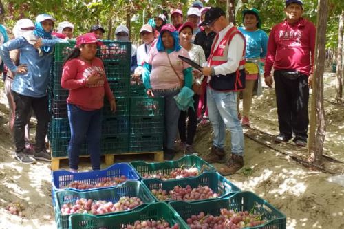 Sunafil ejecuta campaña Perú Formal Rural para impulsar formalización laboral.