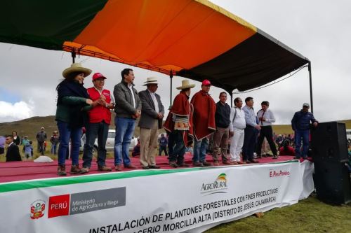 En el caserío cajamarquino La Morcilla Alta se puso en marcha programa de reforestación.