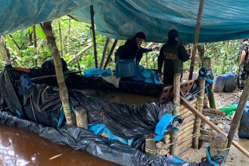 Golpe al narcotráfico se dio en el centro poblado de Patria, distrito de Kosñipata, provincia de Paucartambo.