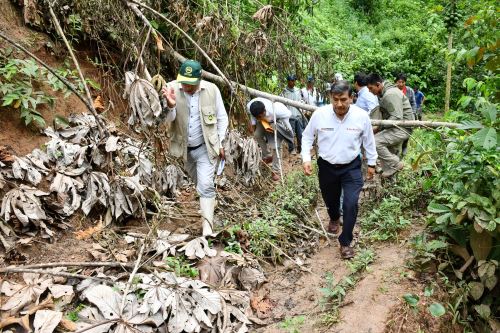 El ministro del Interior, Carlos Morán, inspeccionó diversas zonas afectadas por las intensas lluvias en Pasco.