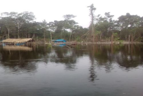 La municipalidad de Urarinas continúa con la evaluación de daños por el desborde del río Marañón.
