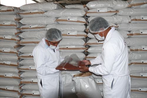Especialistas del Senasa tomaron muestras aleatorias del cargamento de quinua.