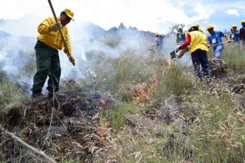 Miembros del Ejército del Perú serán capacitados para combatir incendios forestales.