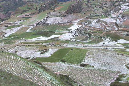 Más de 100 hectáreas de terreno fueron las más afectadas por la granizada en Colca.