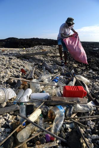 Voluntario recoge basura en Galápagos