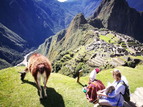 El Santuario Histórico de Machu Picchu fue creada como área natural protegida el 8 de enero de 1981.