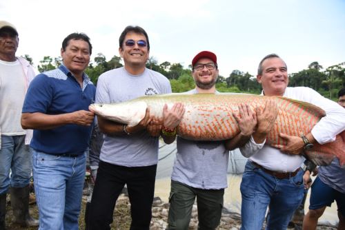 Gobierno Regional de Loreto impulsa proyecto para promover crianza de paiche.