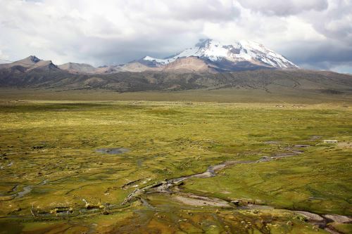 Bofedales o humedales altoandinos del Sajama