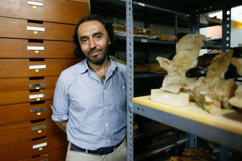 l paleontólogo Rodolfo Salas-Gismondi, investigador y catedrático de la Universidad Peruana Cayetano Heredia (UPCH), destacó que en Sudamérica no existe ningún fósil de un cetáceo cuadrúpedo.