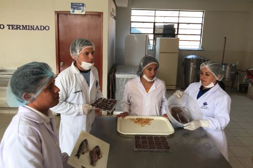Estudiantes de Tecnología Pesquera elaboran el Sublipez, un chocolate con polvo de pescado, que aspira a convertirse en el preferido de los niños de Huarmey (Áncash).