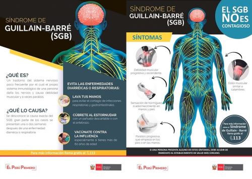 Guillain Barre Minsa Recomienda Estas Medidas Para Prevenir Enfermedad Noticias Agencia Peruana De Noticias Andina