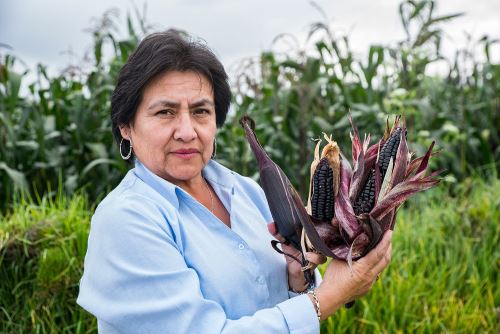 Alicia Medina Hoyos es la especialista que dirige el equipo de investigación del Programa Nacional de Maíz del INIA.