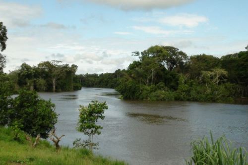 Este es el Parque Nacional Güeppí-Sikemi (Loreto), creado el 25 de octubre de 2012.