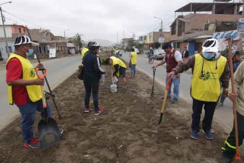 Provistos de chaleco amarillo, palas y carretillas, liberados y sentenciados participaron en campaña de limpieza y arborización en un tramo del jirón Moquegua, entre las avenidas Perú y Camino Real, en el centro de Chimbote.