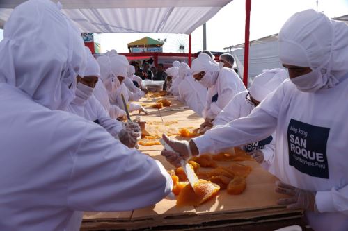 En la Feria Cultural, Turística y Empresarial Semana Tradicional del King Kong prepararon dulce tradicional de 6 metros de largo, 80 centímetros de ancho, 10 centímetros de alto y pesa 350 kilos.