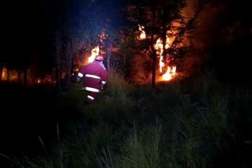 Tras un arduo trabajo, bomberos de La Oroya lograron controlar y extinguir el fuego.