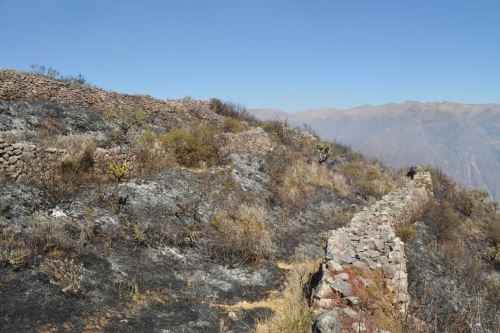Bomberos y comuneros lograron controlar esta tarde un incendio forestal que afectó la zona arqueológica de Hatun Llaqta, ubicada en la provincia cusqueña de Calca.
