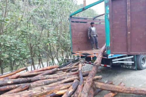 Productos forestales de las especies huilca, tornillo y cachimbo se incautaron durante operaciones en Cusco, Huánuco y Ucayali.