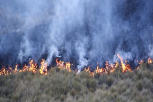Incendio en la provincia ancashina de Carlos Fermín Fitzcarrald consumió diez hectáreas de pastizales.