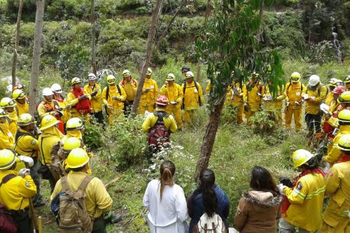 Contingente del Sernap está integrado por especialistas en control de incendios forestales.