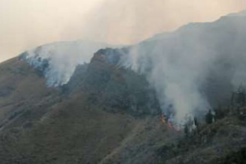 Siniestro forestal en comunidades cusqueñas comenzó en la víspera, indicó el Indeci.