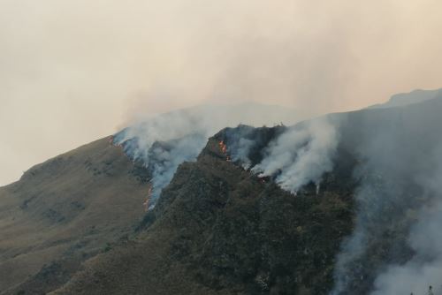 En las últimas horas se han registrado incendios forestales registran en las provincias de Paucartambo, Urubamba, Canchis, La Convención, Acomayo, Cusco y Calca.