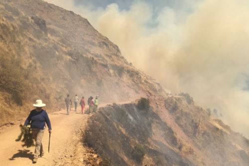 Campesinos del distrito de Chacayán (Pasco) alertaron de incendio forestal.