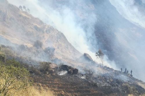 Aún se desconoce si el incendio forestal en el cerro Jogorón fue provocado.