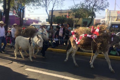 La población se apostó en las calles para observar el ingreso de ccapo a la ciudad de Arequipa.