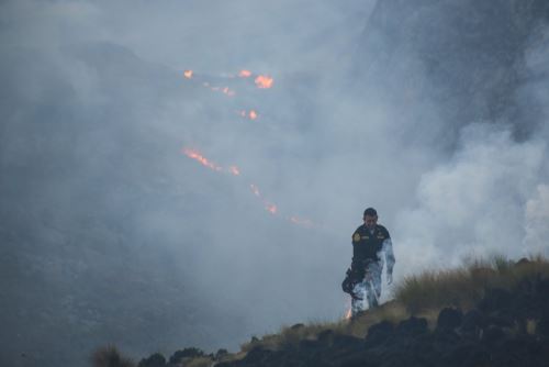 El Centro de Operaciones de Emergencia Regional Áncash informó que tres incendios forestales registrados en la sierra ancashina aún no han sido controlados.