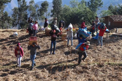 Las autoridades han dispuesto la evacuación de cinco familias del distrito de Yauya (Áncash) por activación de falla geológica.