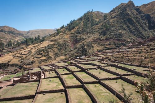 El sector Pukará Alto, ubicado en la parte superior del parque arqueológico Tipón (Cusco), está conformado por 43 andenes.