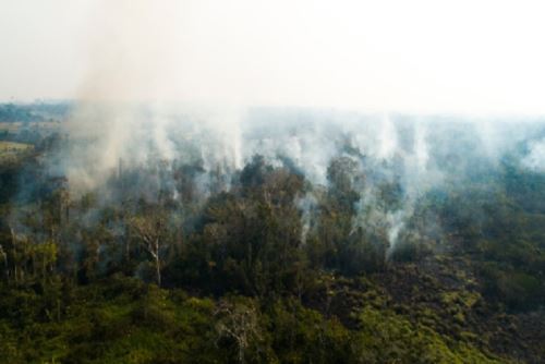 La quema de pastos en diversas localidades de Madre de Dios ha ocasionado siniestros forestales.