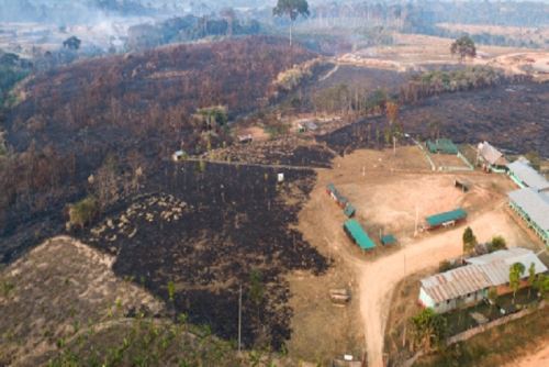 Incendios forestales registrados en la región Madre de Dios han destruido más de 2,500 hectáreas de pastizales.