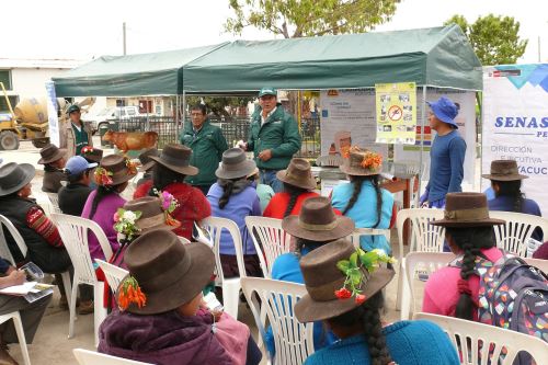 Los especialistas del Senasa visitaron diversas localidades de la región Ayacucho.