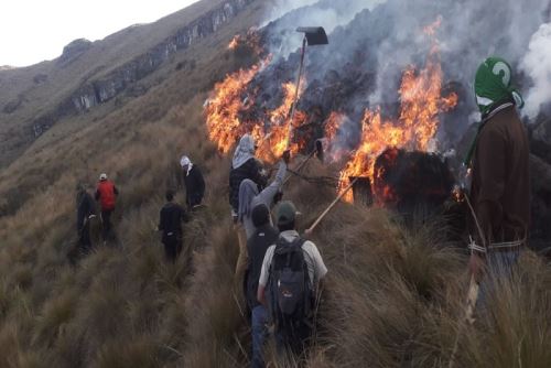 Pobladores de diversas comunidades participaron en las acciones para sofocar el incendio forestal.