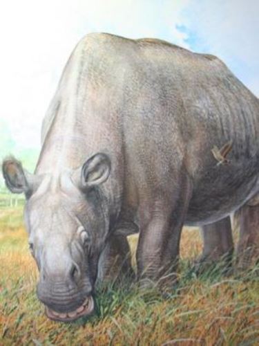 Dibujo del toxodonte, animal prehistórico que vivió en América. Un probable fósil de esta especie habría sido hallado en Espinar, Cusco. Ilustración: Peter Schouten