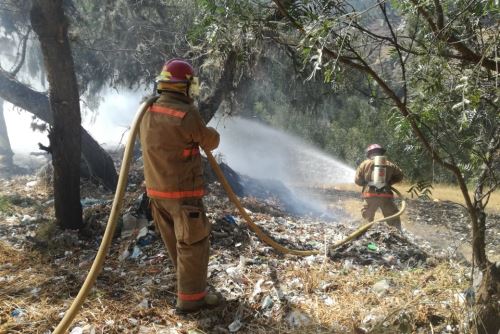 Guardaparques bomberos lucharon para controlar el incendio forestal y evitar que llegue al Parque Nacional Huascarán.