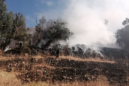 El COER Áncash reportó que, por lo menos, una hectárea de pastizales fue afectada por incendio forestal.